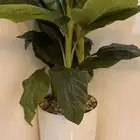 اشجار صناعيه