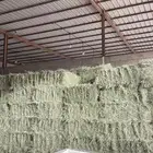 برسيم وعلف وشعير واسمنت