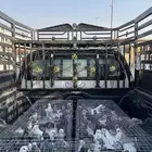 حمام فرنسي   زاجل