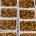 خرفه صفري الكميه حسب الطلب