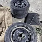 جنوط التيما