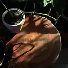 طاوله خشب طبيعيه مع حوض سمك مزروع