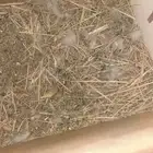 زوج روز منتج
