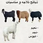 السلام عليكم