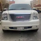 دينالي 2009