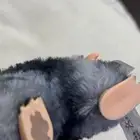 لابوبو سيكرت نادر جدا  والاصلي