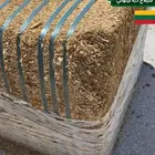 اعلاف متنوعة برسين وقصب وسيلاج