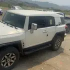 افجي 2013