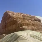 تبن قمح شد ممتاز