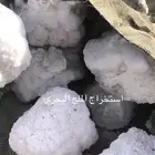حجر ملح بحر بحري