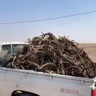 للبيع صندوق ددسن غماره طيب نفس بالصوره