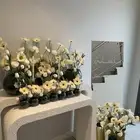 استقبال