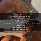 فرس شعبيه للبيع