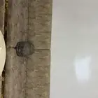 كنب 5 قطع جديد نظيف ب1500 صاافي