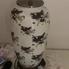 ابجورات