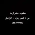 حشو تربيه