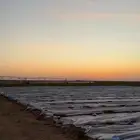 للايجار مزرعة خضار مكشوفة