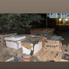 صناديق عسل ملي