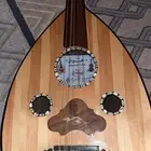 عود مصري للبيع