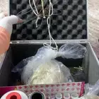شبك صيد الصقور 2025