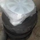 جنوط كورلا 2025 وكالة مع الطيس