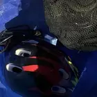 اسكوتر للبيع