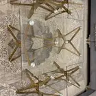 لبيع طاولات نظيفيه جدا