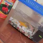 سمك بكل اغراضه للبيع