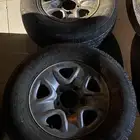 جنوط ديزل 17وكاله اقبل بدل هلل وكاله17