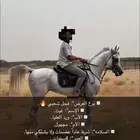 حصان شعبي للبيع