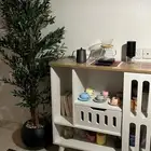 اشجار الزيتون الصناعيه