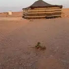 مخيم اللبيع بيت شعر وخيام ومطاره