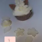 شموع
