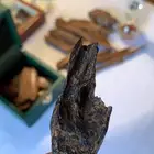 عود كمبودي نوادر فاخر قديم