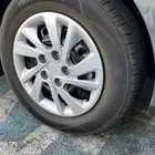 جنوط النترا سوح