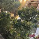 استراحه وشاليه اسطنبول