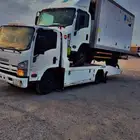 سطحه الليث غميقه