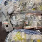 تحليل طيور DNA