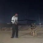 جيرمن شيبرد