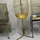 اقفاص كاسكو امزون مكاو كروان كناري