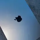 ماك بوك آير