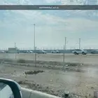 رمل ابيض تيما   رقم سواق اسم محمد شهزاد