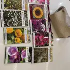 للبيع بذور ورد متنوعه الضرف10ريال