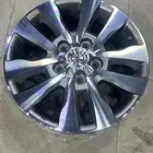 جنوط سكويا اصلي وكالة مقاس 20
