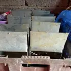 علافات ارانب