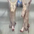 ذبائح للبيع طليان وتيوس مع السلخ وتوصل والتغليف ل حد بيتك