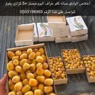 رطب اخلاص وادي كفو