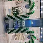 بالونات اليوم الوطني