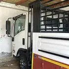 دينا ايسوزو 2016