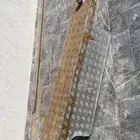 تانكي ماء